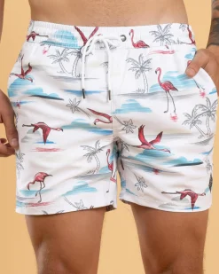 Alcove Elastic Waist Board Shorts