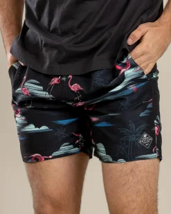 Alcove Elastic Waist Board Shorts