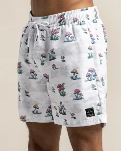 Animate Elastic Waist Shorts