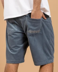 Ascent Walk Shorts