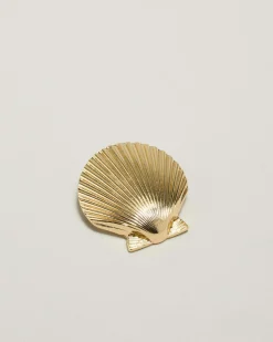 Bailey Shell Brooch
