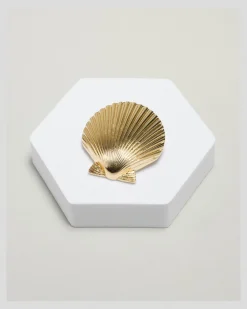 Bailey Shell Brooch