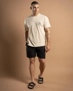 Balance Volley 18" Board Shorts