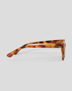 Beacon Polarised Sunglasses
