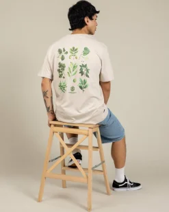 Bigfoot Trees T-Shirt