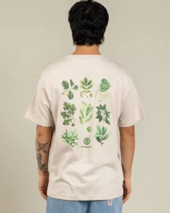 Bigfoot Trees T-Shirt