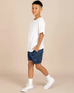 Boys' AOTS Cody Welsh Volley Shorts