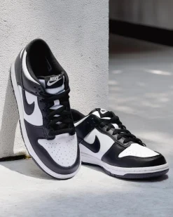 Boys' Dunk Low Shoes