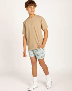 Boys' Haze Elastic Waist Shorts