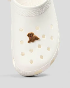 Brown Lab Puppy Jibbitz