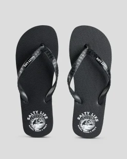 Catching Bait Thongs