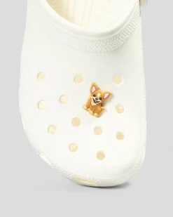 Chihuahua Puppy Jibbitz