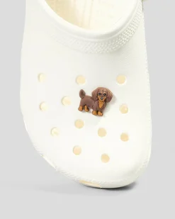 Dachshund Puppy Jibbitz