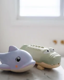 Dolphin Water Squirter