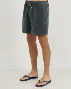 Everyday Surfwash Volley 17" Board Shorts