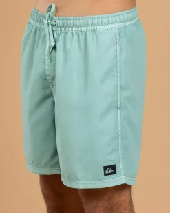 Everyday Surfwash Volley 17 NB Board Shorts