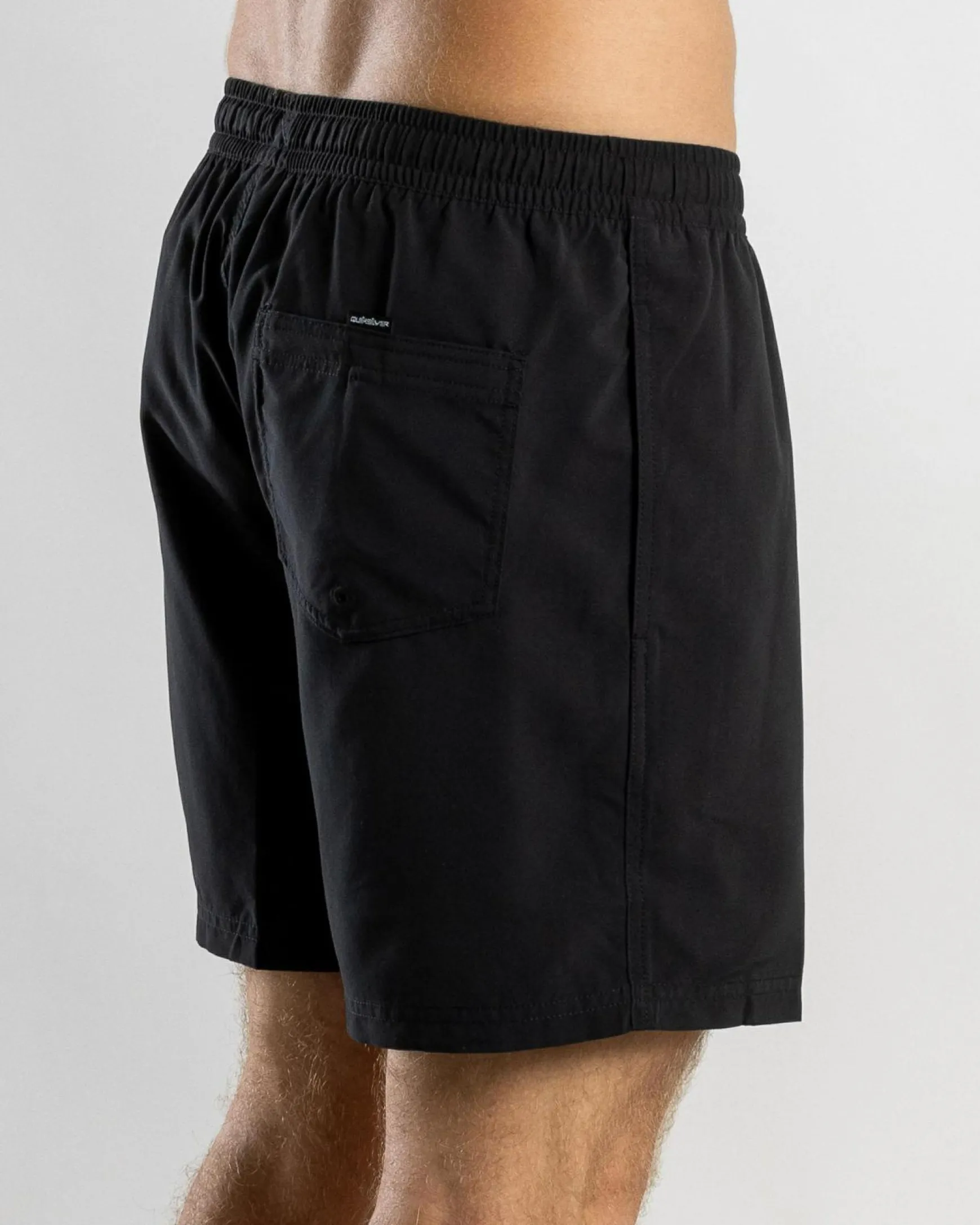 Everyday Vert Volley 2 17" Board Shorts