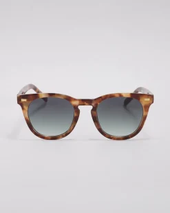 Evolution Sunglasses