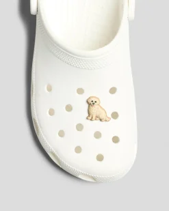 Golden Retriever Puppy Jibbitz