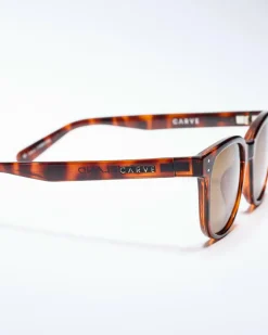 Homeland Polarised Sunglasses