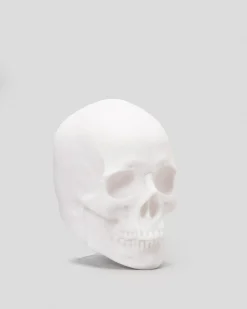 Light Up Skull Speaker