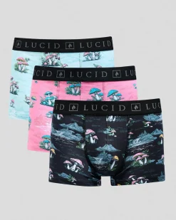 Organic Fitted Boxer Shorts 3 Pack