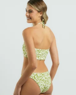 Palm Grove Hike Bikini Bottom