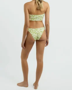 Palm Grove Hike Bikini Bottom