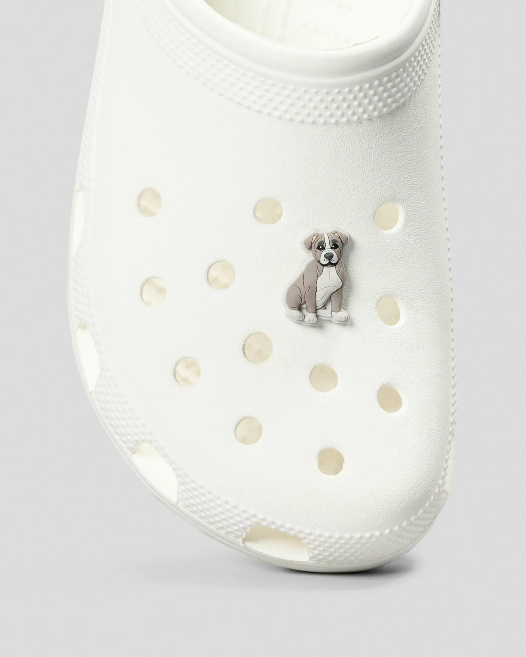 Pit Bull Puppy Jibbitz