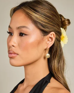 Pollyanna Hoop Earring Pack