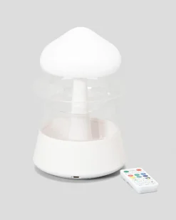 Rain Cloud Humidifier