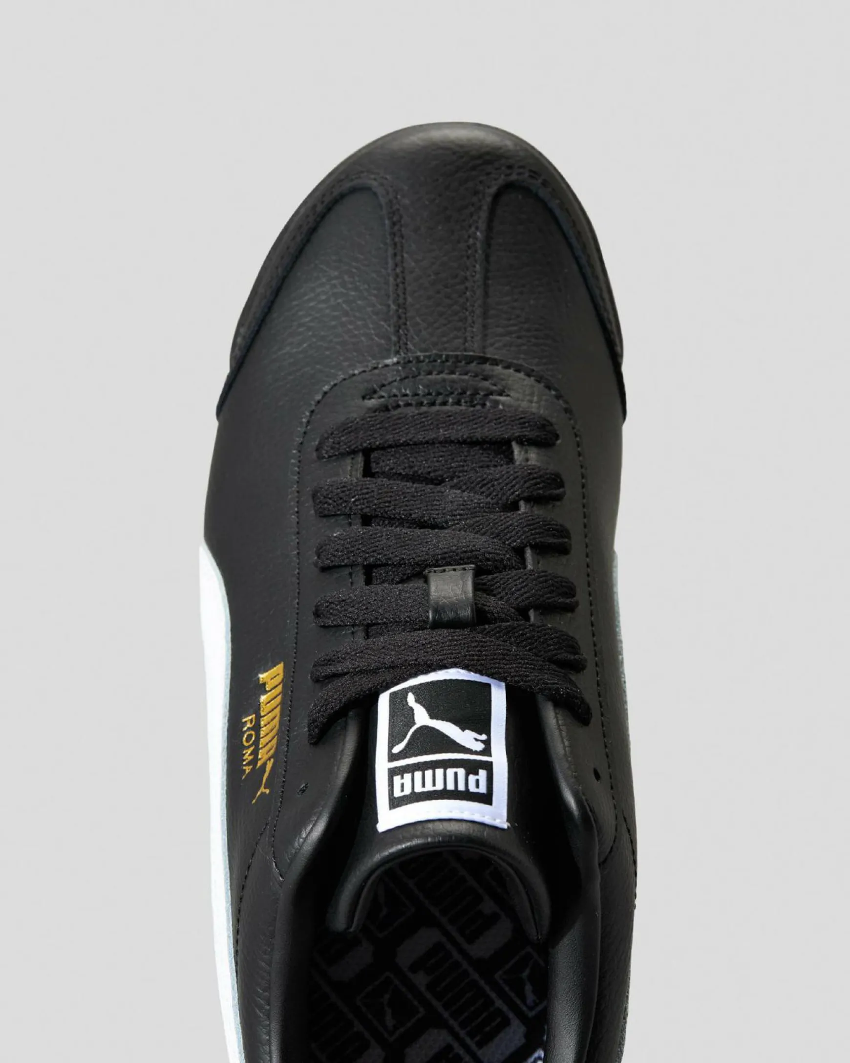 Roma 24 Standard Shoes