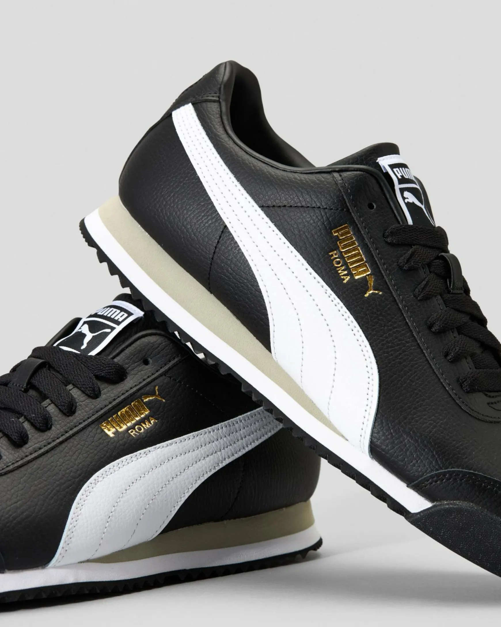 Roma 24 Standard Shoes