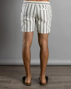Sharp Elastic Waist Shorts