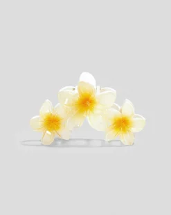 Summer Day Hair Claw Clip