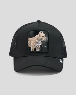 The Pitbull Trucker Cap
