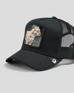 The Pitbull Trucker Cap