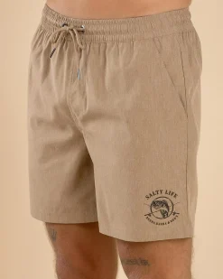 Whirlwind Elastic Waist Shorts